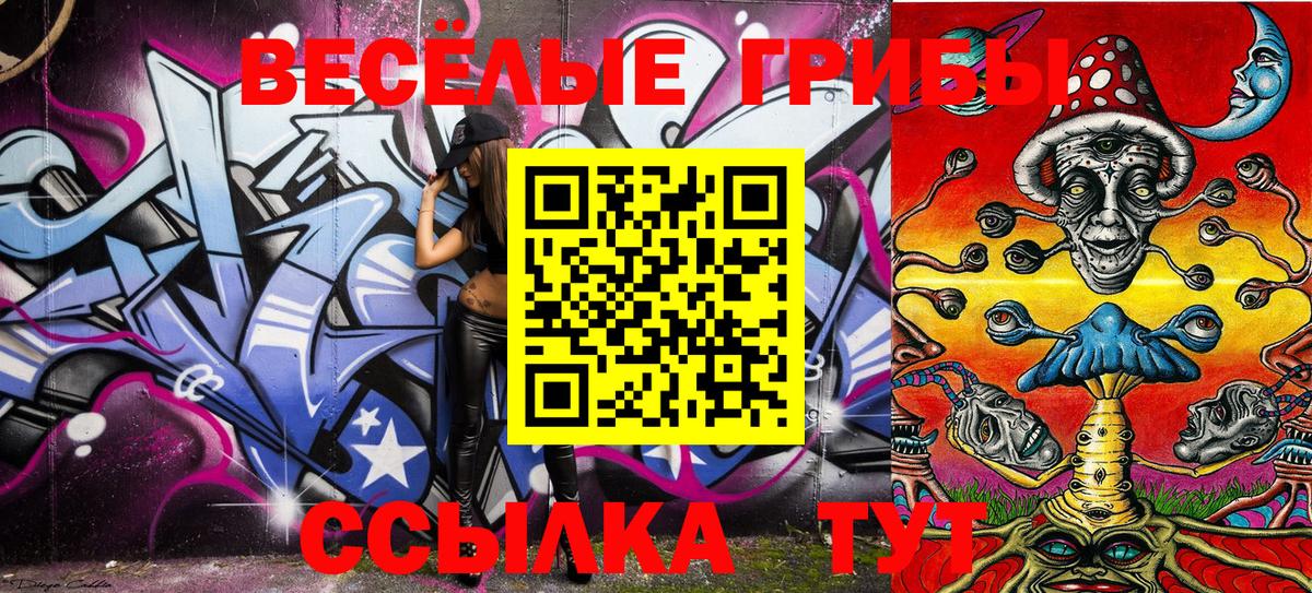 Галлюциногенные грибы Psilocybe Бузулук