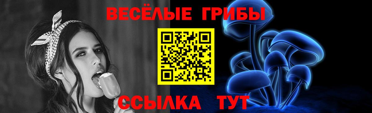 Бузулук  Псилоцибиновые грибы Psilocybine cubensis  Псилоцибиновые грибы Psilocybe  Вход с VPN 